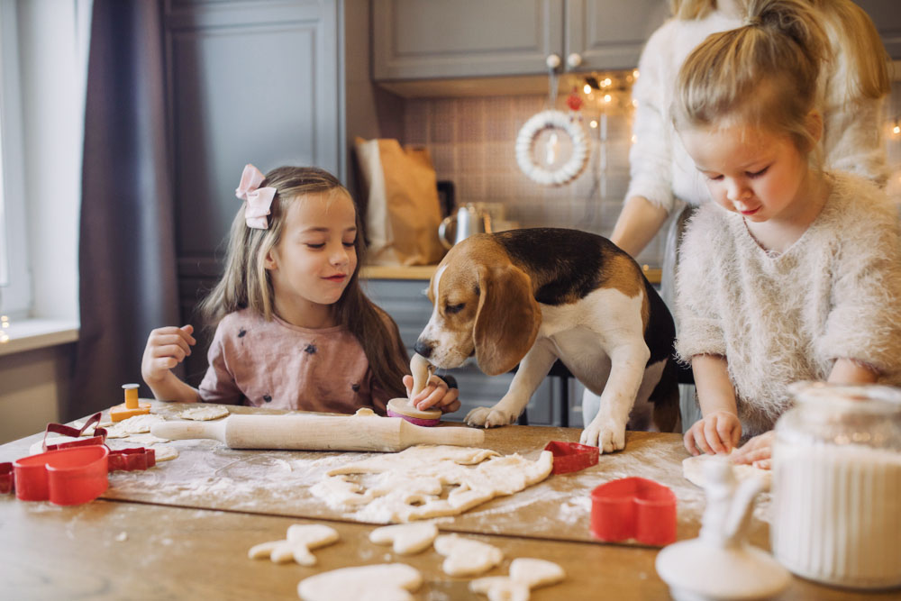 dog cooking