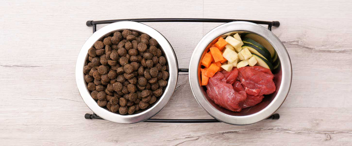 Good nutrition dog food best sale