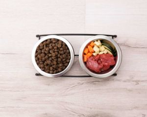 Enhanced Dog Nutrition