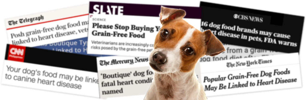 Grain free dog food dangerous hotsell