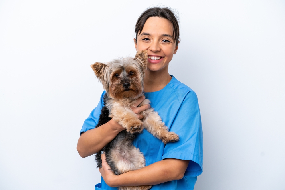 vet with dog