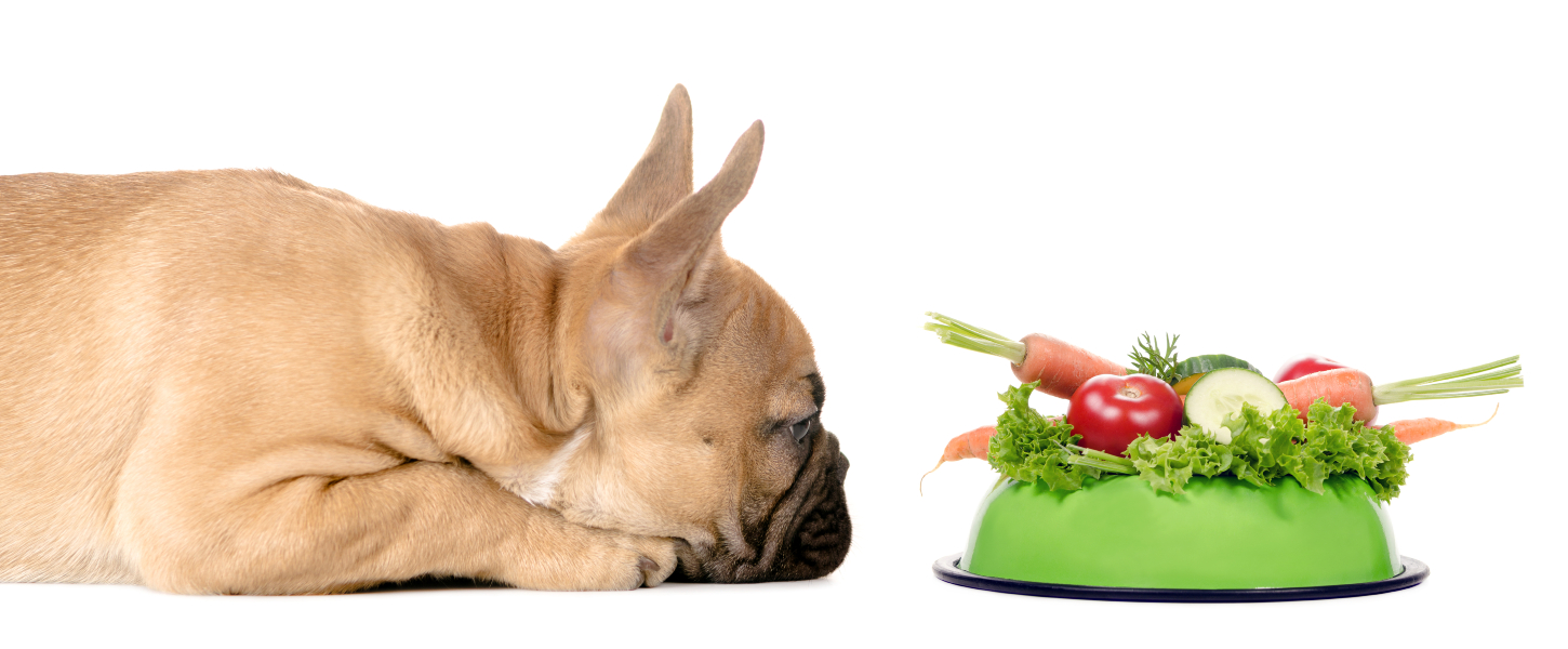 Plant based diets for dogs best sale