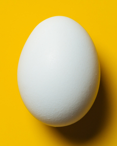 Egg