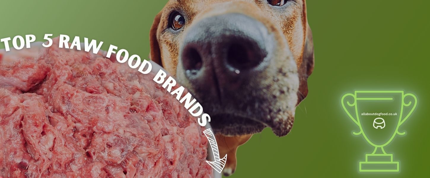 Top 5 Raw Dog Food Brands What is the Best Raw Dog Food All About Dog Food