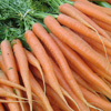 Carrots