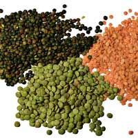 Lentils