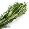 Rosemary