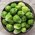 Can my dog eat Sprouts: Risks & Benefits Explained