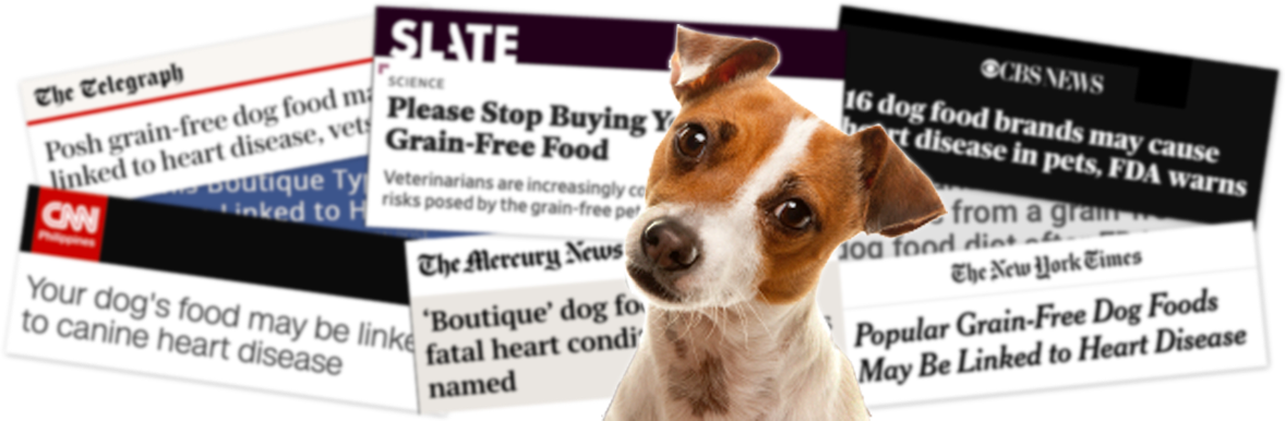 grain free dog food and cardiomyopathy