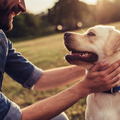 Top 5 New Year’s Resolutions to Make with Your Dog in 2025