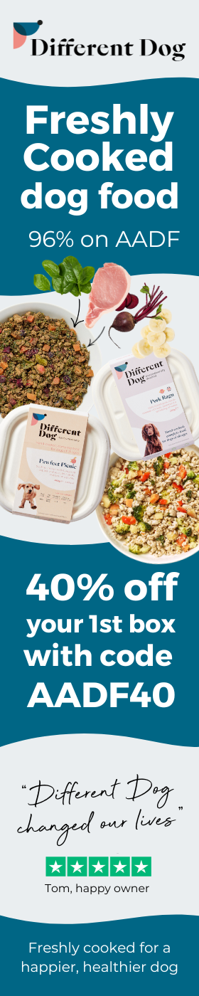 Get 40% off Different Dog today!